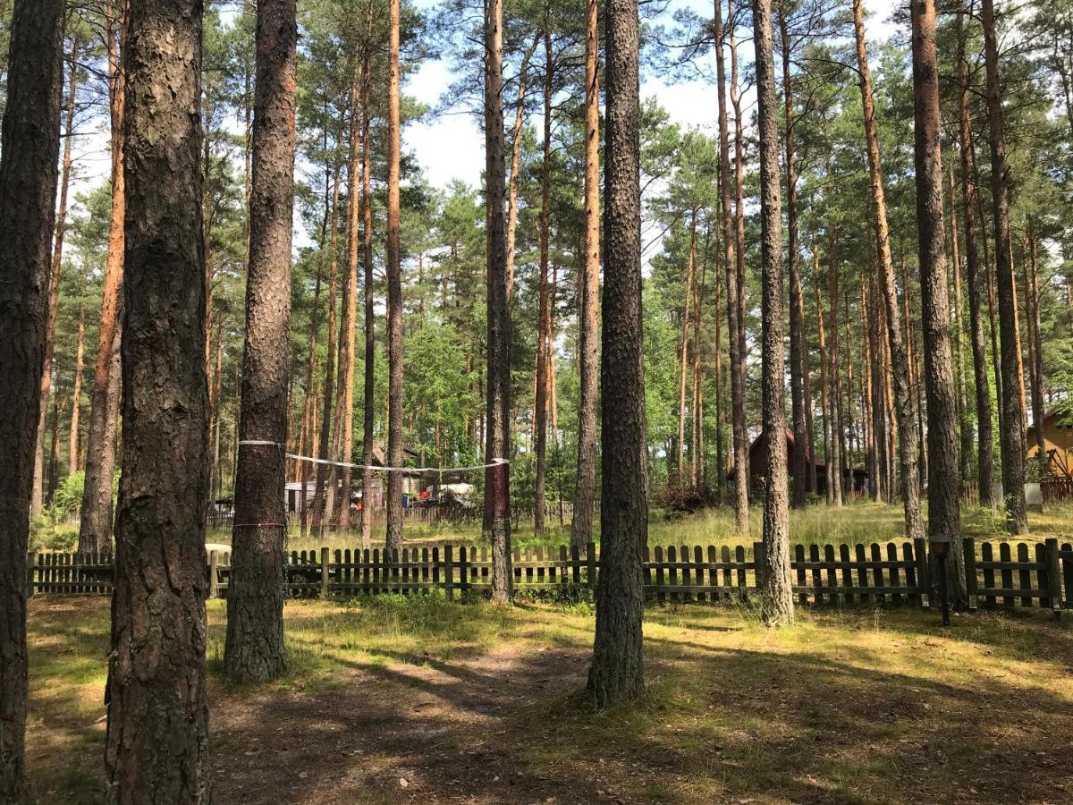 Domek Борск Экстерьер фото