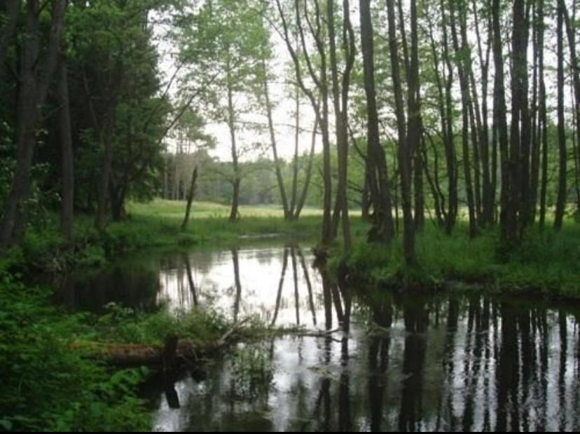 Domek Борск Экстерьер фото